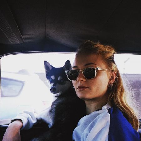 Sophie Turner took a picture with her pet dog in her car. 